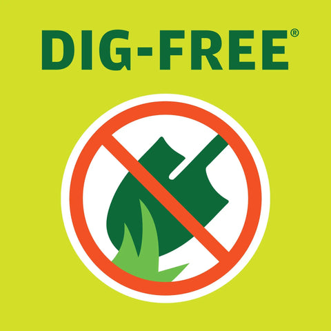 No Dig Landscape Edging Kit One And A Quarter Inch Tall With Anchoring Spikes And Coupler Twenty Foot Black Border For Beds And Lawns image