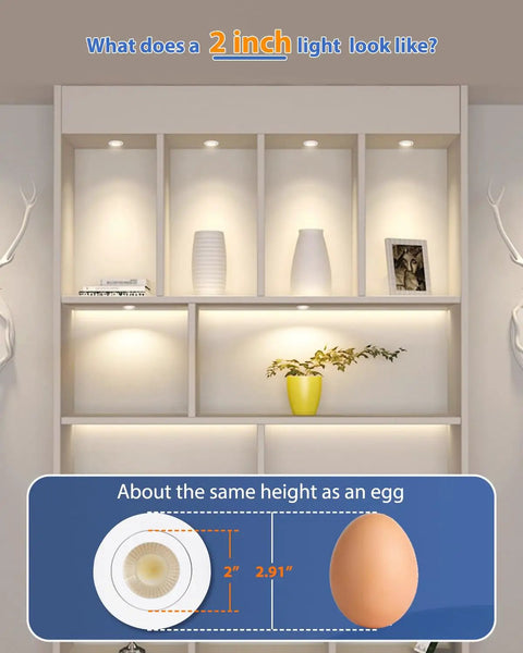 Adetu 4 Pack 2 inch 5CCT LED Gimbal Recessed Light, 5W=50W, 550LM, 120V compared to an egg in a lit shelf.