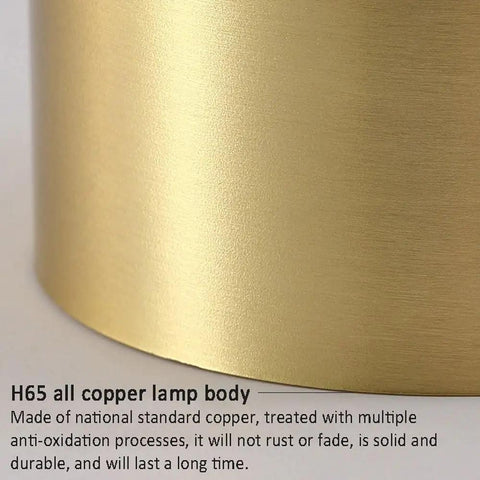 Close-up of Hella Bright Eight Pack Led Recessed Downlights Swappable Kelvin Brass Trim Eyeball Fixtures solid copper housing.