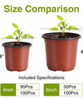 Size comparison of 4 inch and 6 inch plant nursery pots with seedlings, featuring the 100 Pack 6 Inch Plant Nursery Pots Reusable Waterproof Plastic Pots Seed Starting Pots for Seedlings Garden Projects and Home Pots for Easy Transplanting and Longlasting Use.