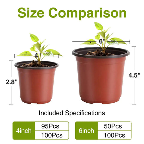 Size comparison of 4 inch and 6 inch plant nursery pots with seedlings, featuring the 100 Pack 6 Inch Plant Nursery Pots Reusable Waterproof Plastic Pots Seed Starting Pots for Seedlings Garden Projects and Home Pots for Easy Transplanting and Longlasting Use.