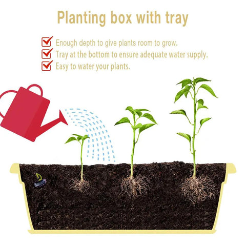 Cross-section of Six Pack Window Box Planters Set 17 Inch Long Rectangular Plastic Planter Boxes With Tray showing plant growth stages.