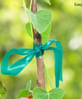 Built Tough Garden Tie Tape Roll Half Inch Wide 300 Feet Long Green Vinyl Plant Support Ribbon securing a plant stem