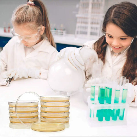 Children using Science Kit For Kids With Ready To Use Bacteria Petri Dishes LB Agar And Cotton Swabs Safe STEM Project, smiling.