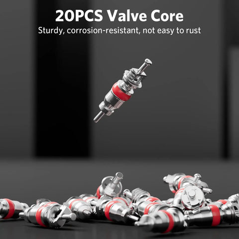 Valve Core Remover And Installer Tool Pro Grade With Dual Size SAE One Quarter Inch And Five Sixteenths Inch Port Brass Adapter for Schrader valves with 20 pieces on a black background.