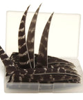 Arrow Fletching Shield Type 4 Inch Or 5 Inch Natural Stripe Turkey Feather Fletching Kit 50 Pack For DIY Arrows, Dope Lightweight Flight Correction, Easy Install in clear box