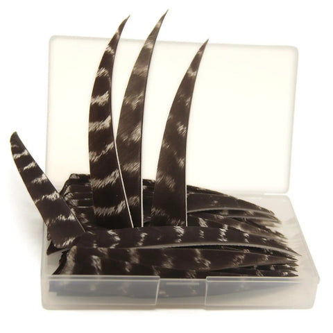 Arrow Fletching Shield Type 4 Inch Or 5 Inch Natural Stripe Turkey Feather Fletching Kit 50 Pack For DIY Arrows, Dope Lightweight Flight Correction, Easy Install in clear box