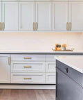 5 Pack 5 Inch Hole Centers Brushed Gold Cabinet Pulls With Backplate Heavy Duty Handles For Kitchen Cabinets And Drawers Solid Base Plate Hardware Easy Installation Contemporary Built To Last Durable Upgrade on white kitchen cabinets