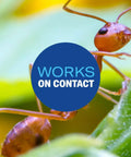 Close-up of fire ant on leaf with 'Works on Contact' text, promoting Fire Ant Killer Dust That Kills The Queen And Destroys The Mounds.
