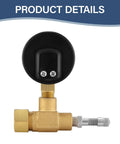Air Over Water Test Regulator With Gauge For Home Plumbing Leak Detection, 2-Inch Dial, 0-100 PSI Range, Includes 1/4-Inch NPT Mount