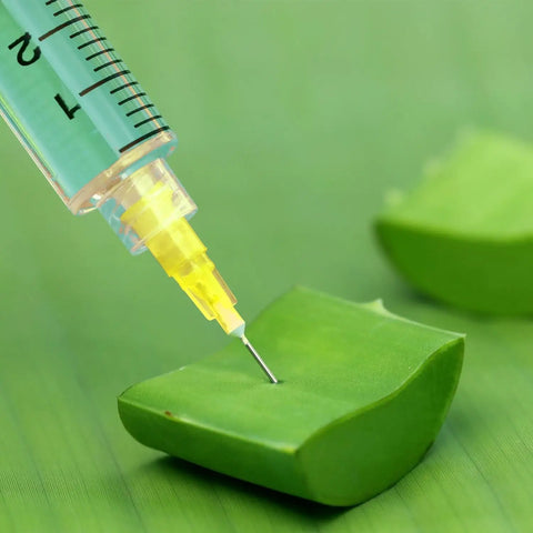 Close-up of 50 Pack 1ml Syringes With 25G 5 By 8 Inch Needles, Individually Sealed For Industrial Lab Use, piercing green plant material