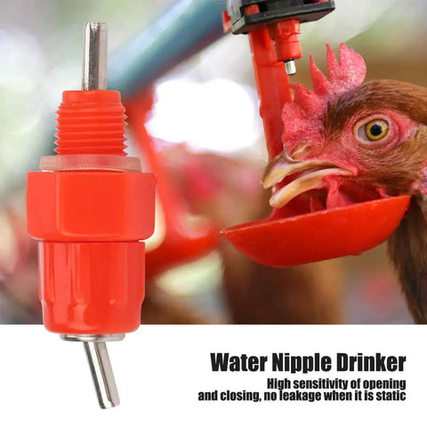 20 Pack Top Shelf Automatic Chicken Water Nipples With 360 Degree Stainless Steel Flow, close-up of red water nipple with hen drinking.