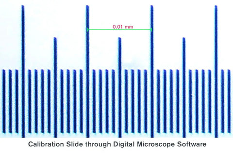 Microscope Calibration Slide With Stage Micrometer 1mm Ruler For Precise Measurement Of Specimens Down To Zero Point One Millimeter Standard 1 By 3 Inch Slide Fits On Most Microscope Stages Super Handy Warranty And Responsive Support, 1x3 inch glass slide, 0.01 mm scale
