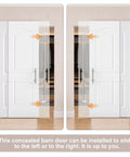 Zero Hassle Concealed Barn Door With Butter Smooth Soft Close Glide And Show Stopper Two Panel Raised Arch Design In Crisp White Primer sliding options shown.