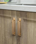 2 Pack 5 Inch Center To Center Champagne Bronze Cabinet Handles With Backplates for Modern Kitchen Drawers