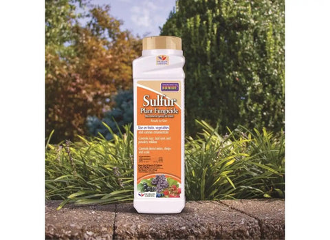 Sulfur Plant Fungicide Ready To Use 1 Pound for organic control of rust leaf spot and powdery mildew in garden setting