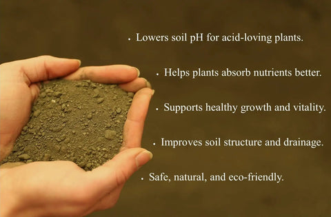 Hands holding all natural greensand soil amendment for gardens and lawns 20 lb bag rich in potassium and iron improves soil structure.