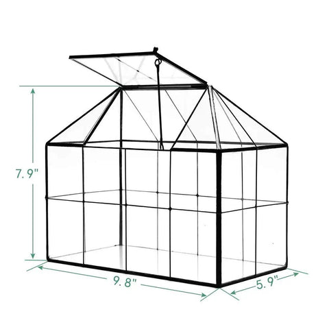 Glass Terrarium House Planter With Swing Lid For Succulents And Small Plants, Modern Glass Greenhouse Habitat, Black Accent, Totally Perfect For Moss, Ferns, Cacti, And Venus Flytrap, 9.8 By 7.9 By 5.9 Inches