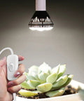 Hanging Light Socket With Cord Extension Kit 8.2 Ft White Lamp Cord With Switch E26 E27 Pendant Socket illuminating a plant