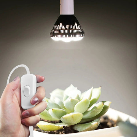 Hanging Light Socket With Cord Extension Kit 8.2 Ft White Lamp Cord With Switch E26 E27 Pendant Socket illuminating a plant