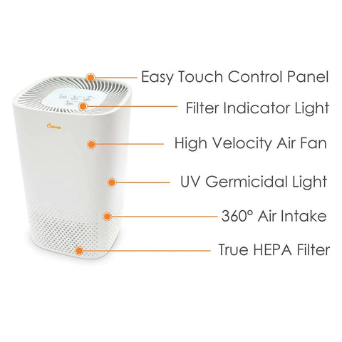 True HEPA Air Purifier With UV Light For A Clean Home Covers Up To 250 Sq Ft With Timer Sleep Mode Washable Filter features