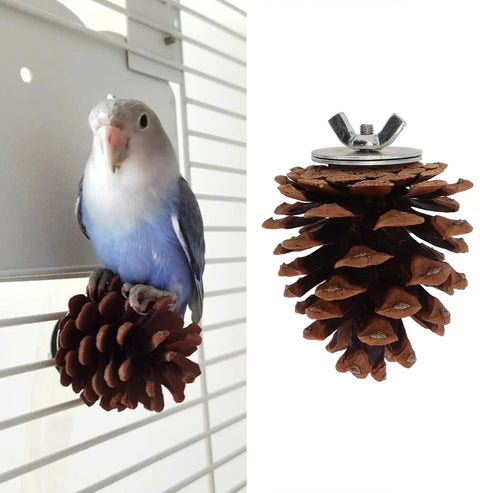10 Pack Real Pine Cone Bird Chew Toys With Sturdy Mounting Nuts For Parakeets Cockatiels And Budgies perched on a pine cone.