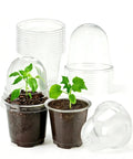 Clear Seed Starter Pots With Humidity Domes, 4 Inch Plastic Nursery Pots For Indoor Outdoor Gardening, Drainage Holes, 10 Pack