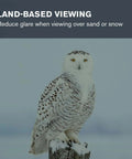 Snowy owl perched on a post, related to Moon Filter For 1.25 Inch Eyepieces Bumps Up Clarity And Cuts Glare For Lunar Viewing.