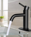 Brushed Nickel Stainless Steel Bathroom Faucet With Pop Up Drain Stopper And Deck Plate, Single Handle, water flowing into sink