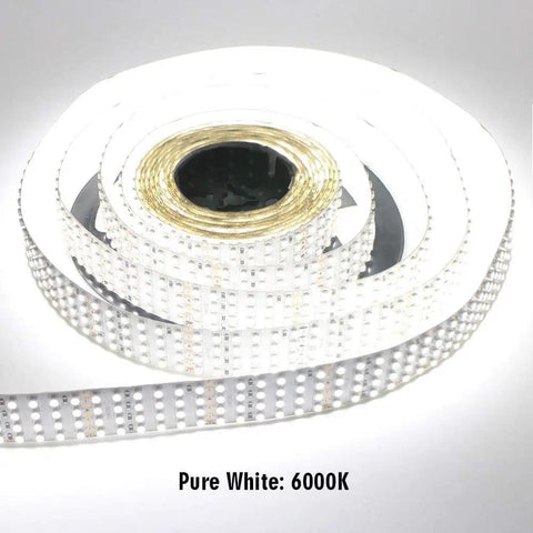 Quad Row 24V LED Strip Lights 3528 SMD High CRI 95 Crazy Bright Flexible Tape Lighting For Photography roll, pure white 6000K
