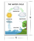 Water Cycle Poster For Science Classrooms 12 By 18 Inch Wall Decor A Kid Friendly And Engaging Learning Tool For Elementary Middle School And High School Classrooms Perfect For Visualizing The Water Cycle showing evaporation and precipitation
