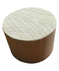 Predrilled Wooden Door Hole Plug For Two One Eighth Inch Holes DIY Ready Hand Made Wafer Style Wood Plug For Door Repair