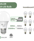 Front view of Evelor Six Pack A19 LED Light Bulbs With E26 Base 60 Watt Equivalent Daylight 5000K 9 Watts 800 Lumens Non Dimmable