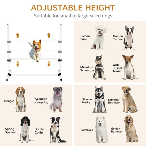 Indoor Outdoor Dog Agility Jump Set With 4 Bar Hurdles showing adjustable height for various dog breeds