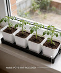 Four pots on a Five Pack Plastic Window Sill Plant Saucers With Removable Drain Hole Rectangular 16 By 5.5 By 1.5 Inches Thick Black Tray