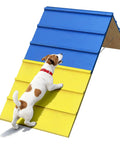 Dog Agility A Frame For Large Dogs 82 By 23 Inches Adjustable Foldable Training Ramp in blue and yellow with small dog climbing