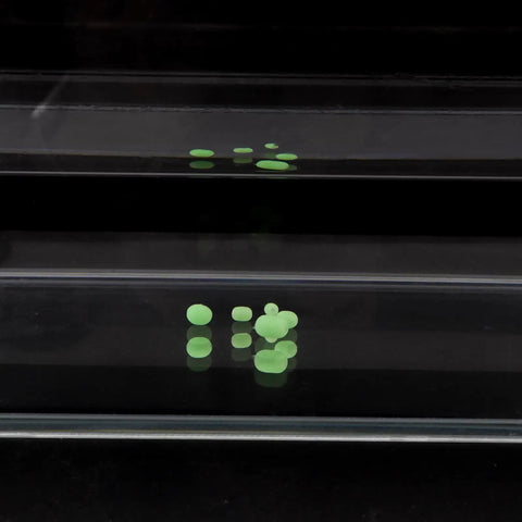 Glow In The Dark Soft Plastic Fishing Beads Set, 100 Pcs Green Egg Shaped Beads arranged on clear surface