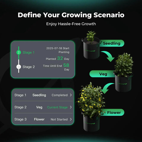 Image of plant growth stages with seedling, veg, and flower phases for Heavy Duty Smart WiFi Power Strip With 10 Pre Configured Outlets For Zero Hassle Grow Room Automation And Slick App Controlled Lighting Fans Climate Rig.