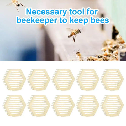 Plastic Queen Cage Needle Type Beekeeping Tool 10 Pack Reusable Bee Cage For Queen Transport During Hive Inspections
