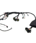 Full Plug In Ready Main Wiring Harness Assembly For Sur Ron Light Bee X Segway X160 X260 79 Bike Falcon M E Ride Pro SS Replacement Copper PVC Kit