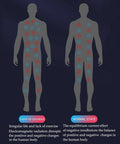 Illustration showing body with electrostatic charges, highlighting benefits of Adjustable Anti Static Wrist Strap 2 Pack For Men And Women.