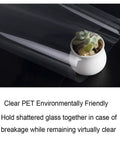 Clear Window Security Film Adhesive 2 Mil Anti Shatter UV Blocking Shield for Home and Office over plant