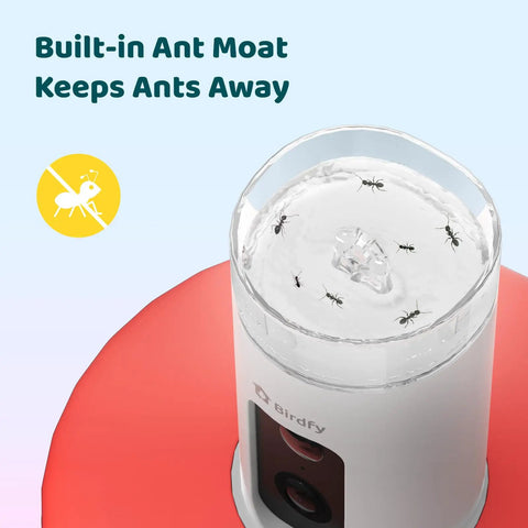 Smart Hummingbird Feeder With Camera And Solar Power, Live View And 1080P Video, Instant Alerts, Dual Perch For Two Birds, ant moat