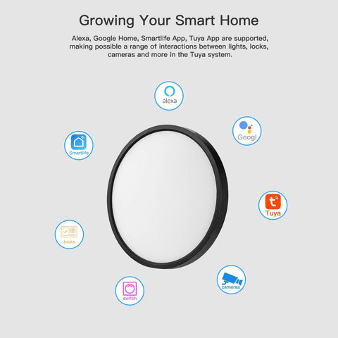 12 Inch Smart Alexa Ceiling Light With Remote Control Lit RGB Color Changing Black Flush Mount Light App Control 120V