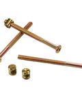 Heavy Duty Galvanized Hex Socket Bed Bolts And Barrel Nut Kit M6 X 80mm tough carbon steel hardware with matching barrel nuts.