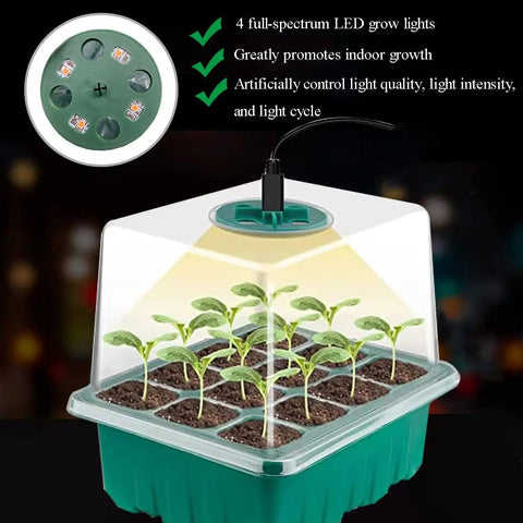 Seed Starter Tray 3 Pack With Grow Light For Indoor Seed Starting Seedling Kit Germination Set Humidity Dome And Base Greenhouse Trays 12 Cell Per Tray Full Spectrum LED Lights For Healthy Seed Growth showing seedlings with grow light