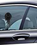 Heavy Duty Cup Hooks 4 Pack With Suction Anchors For Camping And Outdoor Travel attached to car window