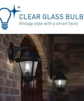 Smart LED Vintage Glass Filament B11 Bulb 40W Equivalent Tunable White 2200K To 6500K in decorative outdoor fixture