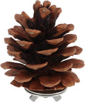 10 Pack Real Pine Cone Bird Chew Toys With Sturdy Mounting Nuts For Parakeets Cockatiels And Budgies, detailed view of a pine cone