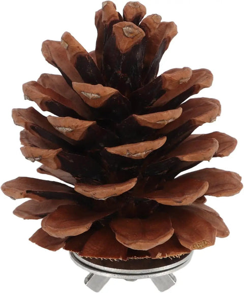 10 Pack Real Pine Cone Bird Chew Toys With Sturdy Mounting Nuts For Parakeets Cockatiels And Budgies, detailed view of a pine cone